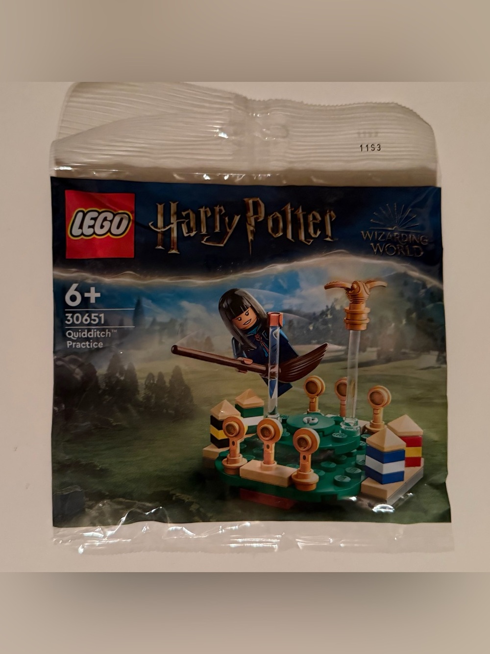 LEGO Harry Potter Quidditch Practice